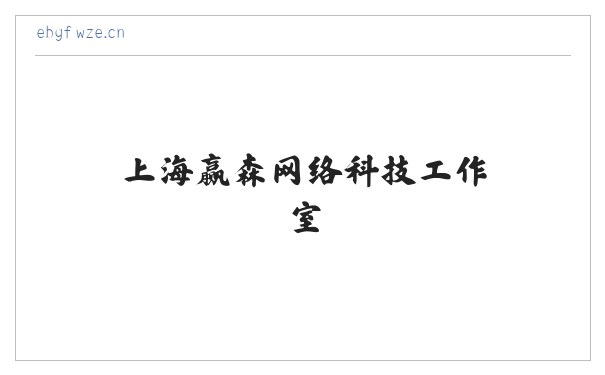 上海赢森网络科技工作室 缩略图
